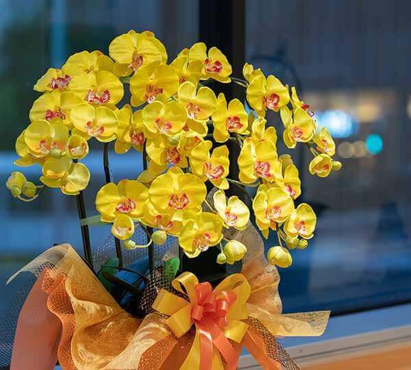 東京八重洲クリニックから見る夜景