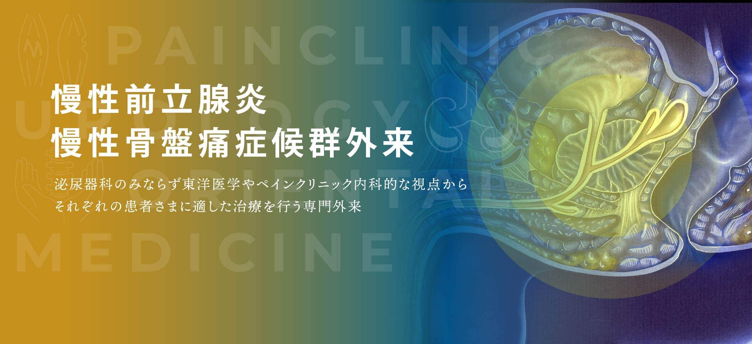 慢性前立腺炎／慢性骨盤痛症候群外来